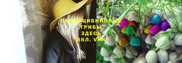 шишки Алапаевск
