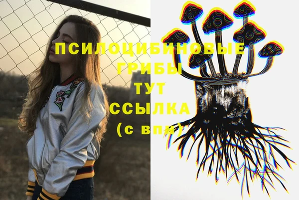 2c-b Медногорск