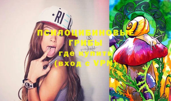 дурь Мегион