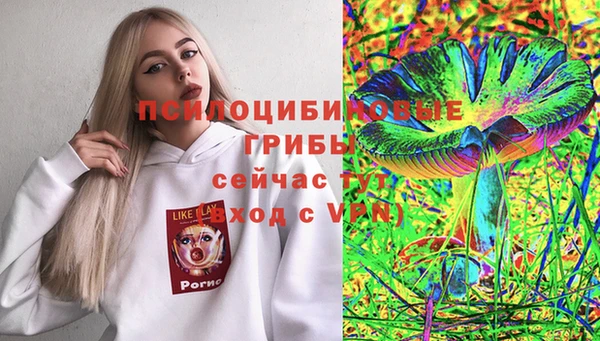 COCAINE Медвежьегорск
