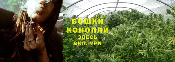 дурь Мегион