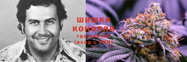 дурь Мегион
