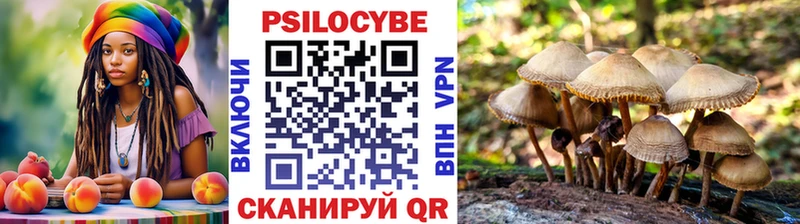 mega как войти Мурино Галлюциногенные грибы прущие грибы