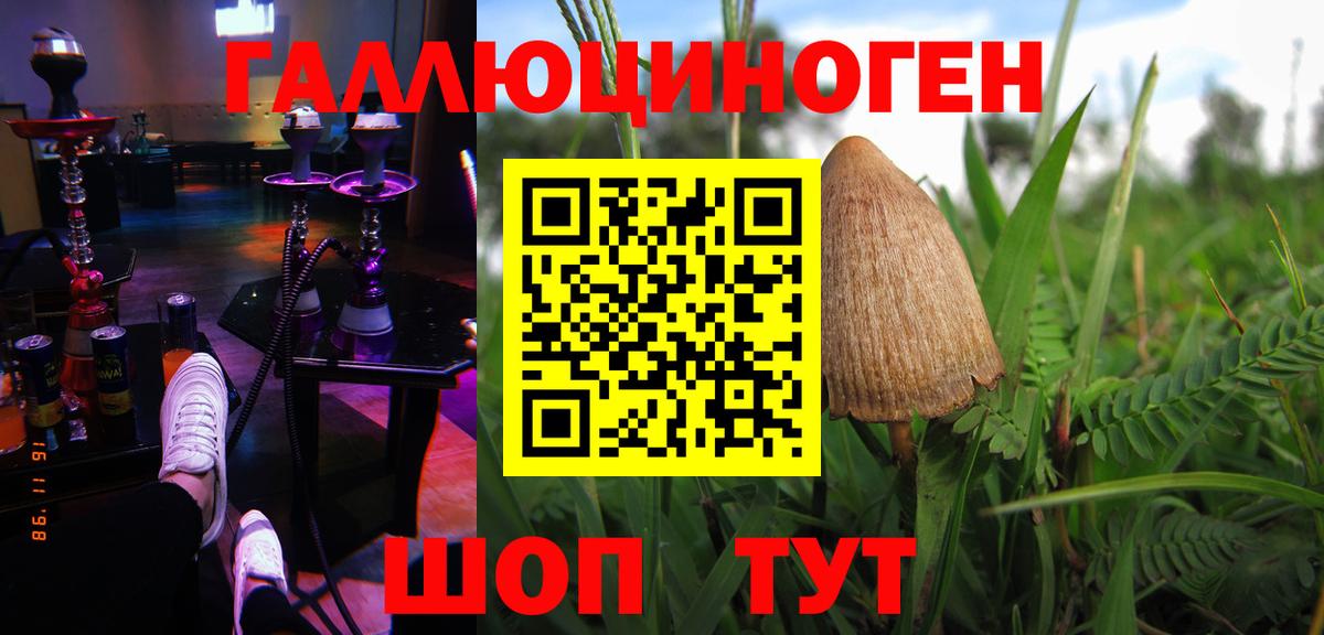 Псилоцибиновые грибы GOLDEN TEACHER  Псилоцибиновые грибы GOLDEN TEACHER  Мурино  Вход с VPN 
